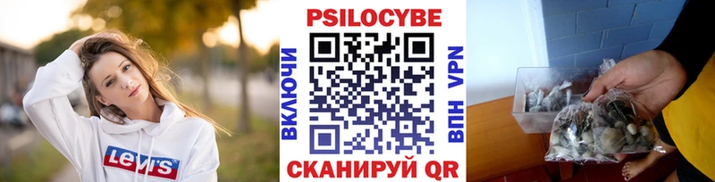 Псилоцибиновые грибы мицелий  Снежногорск 